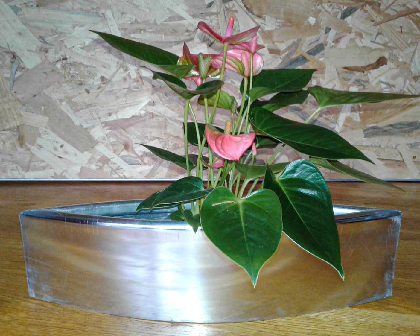 Cache pot oeil en zinc lustré pour intérieur ou extérieur. Modèle déposé