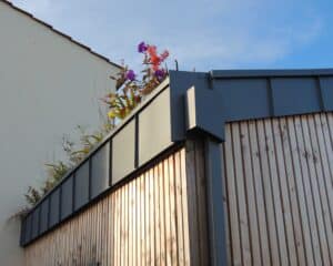 chéneau végétalisé