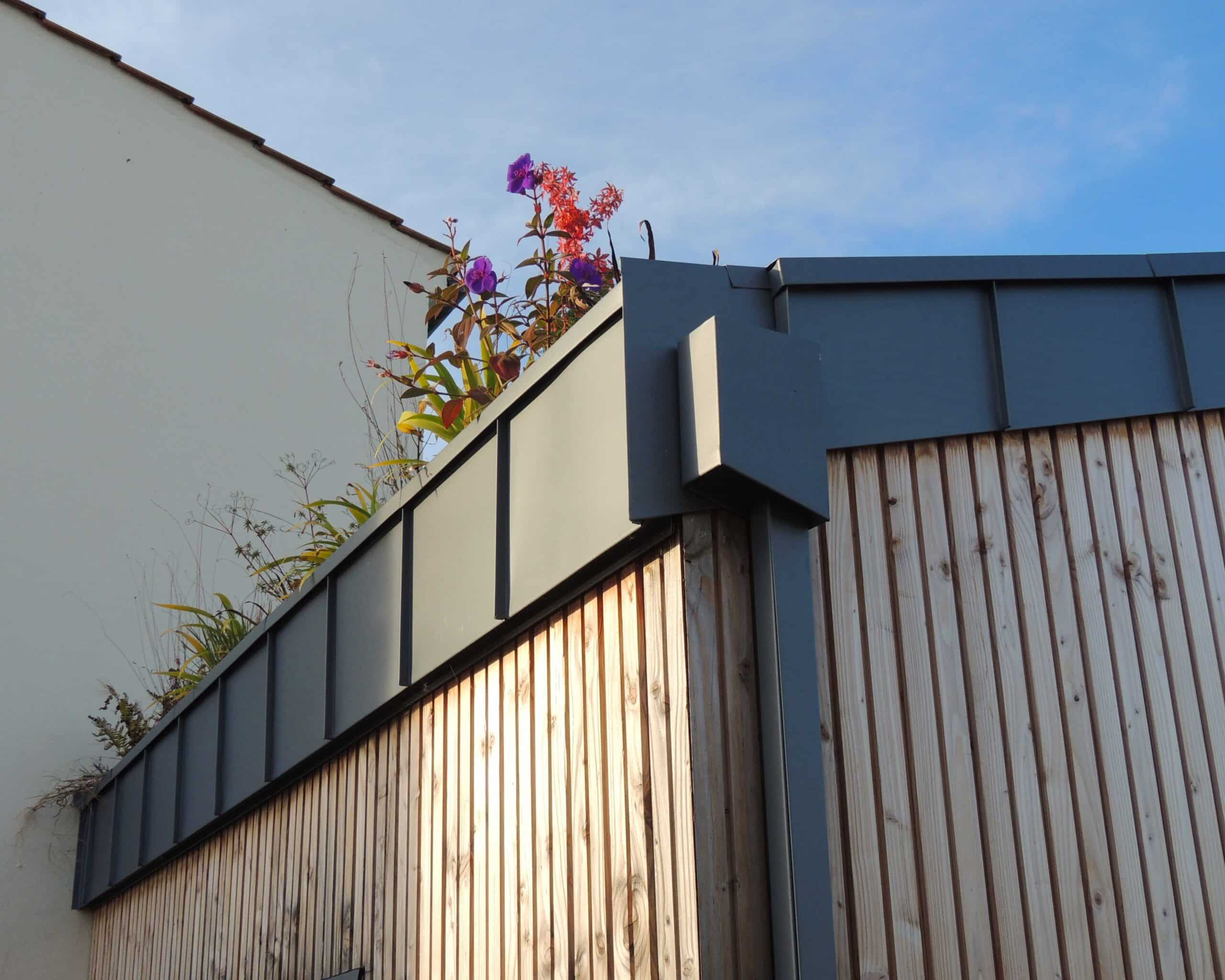 chéneau végétalisé