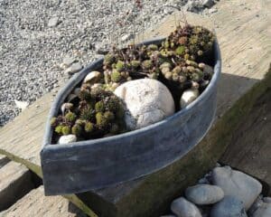 Cache pot oeil en zinc patiné pour intérieur ou extérieur. Modèle déposé