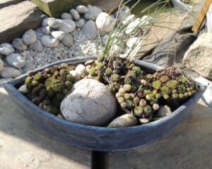 Cache pot oeil en zinc patiné pour intérieur ou extérieur. Modèle déposé
